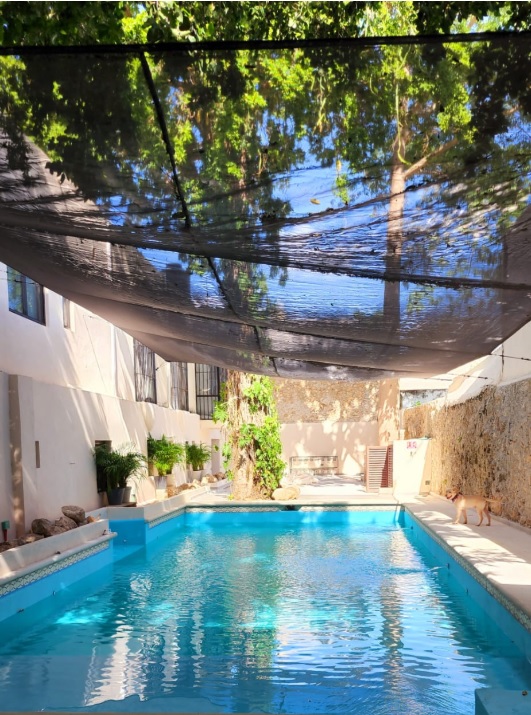 "Sunlight reflects on a cristal clear pool, creating gentle patterns that give a sense of relaxation."